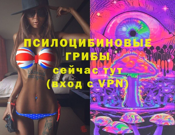 таблы Алексин